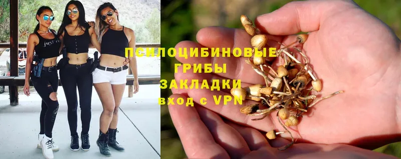 Псилоцибиновые грибы MAGIC MUSHROOMS  МЕГА ссылки  Череповец 